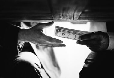 A improbidade administrativa e suas espécies