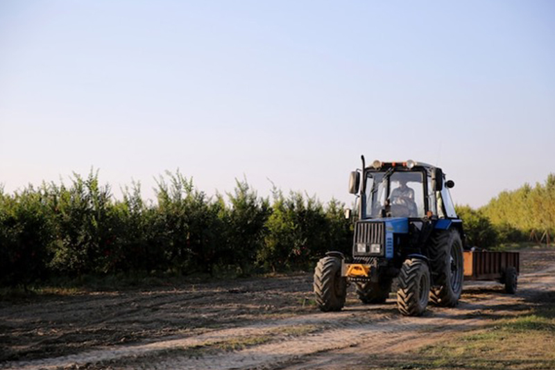 O ônus de provar os requisitos da impenhorabilidade da pequena propriedade rural