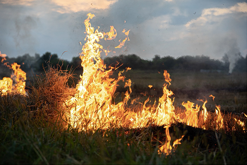 Novas obrigações a produtores rurais para prevenção de incêndios florestais