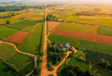 STJ decide que perda da propriedade pelo arrendador extingue contrato de arrendamento rural