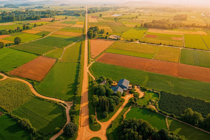 STJ decide que perda da propriedade pelo arrendador extingue contrato de arrendamento rural
